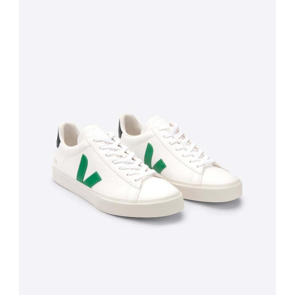 Veja CAMPO CHROMEFREE Men's Low Tops Sneakers White | NZ 292UZG